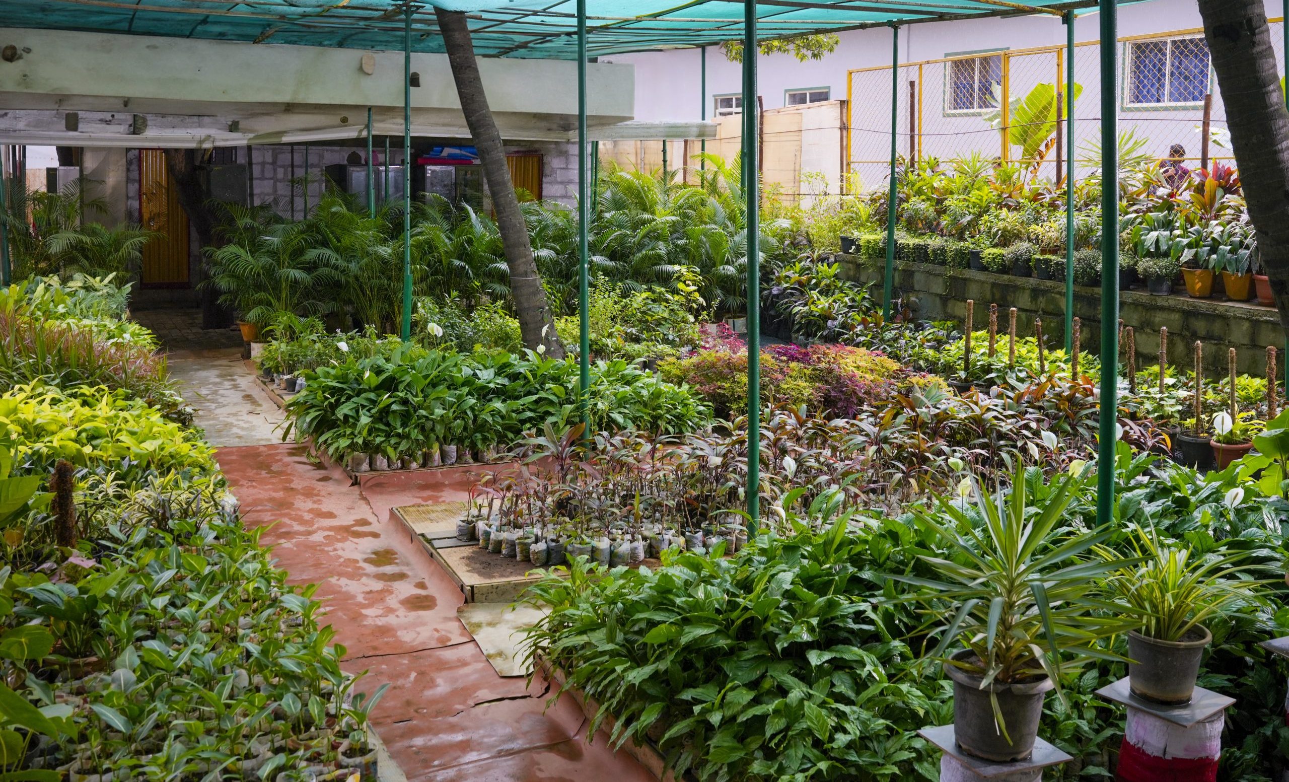 Nursery